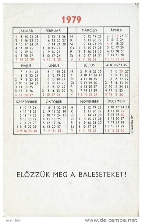 RAIL * RAILWAY * RAILROAD * HUNGARIAN STATE RAILWAYS * MAV * CALENDAR * Munkavedelem 1979 4 * Hungary - Petit Format : 1971-80