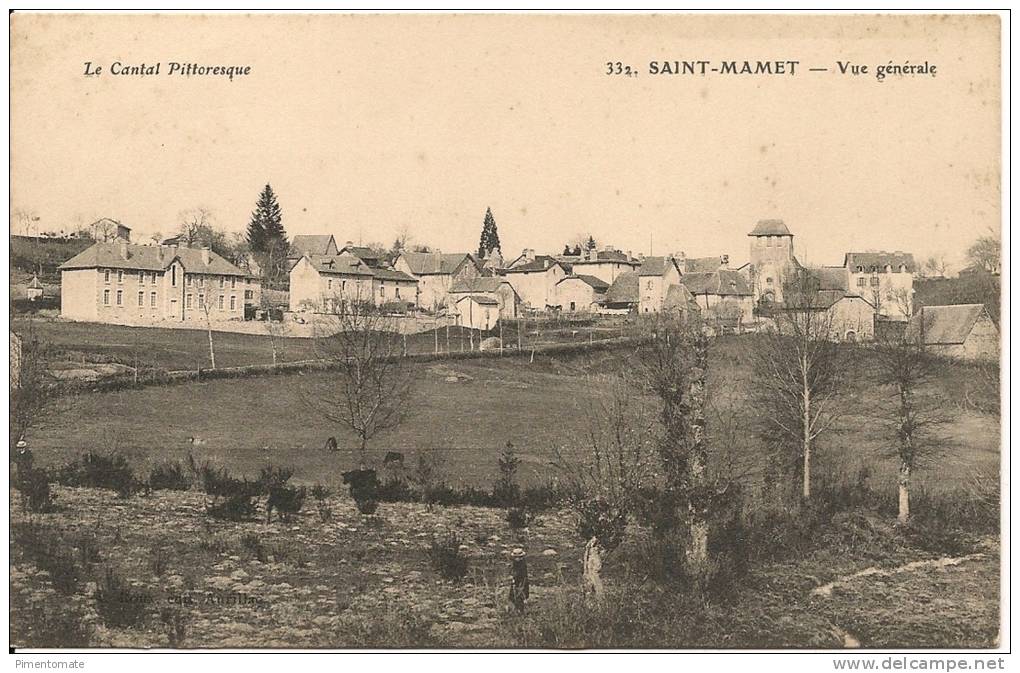 SAINT MAMET VUE GENERALE - Saint-Mamet-la-Salvetat