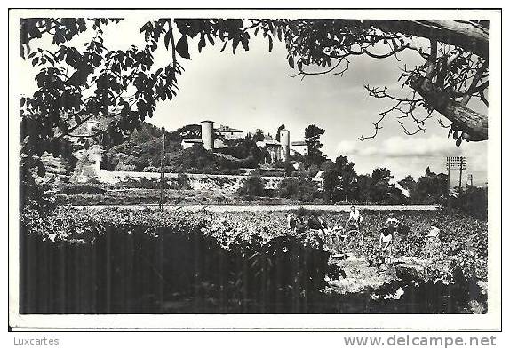 27. LES LECQUES SUR MER. VENDANGES AU CHATEAU DES BEAUMELLES. - Les Lecques