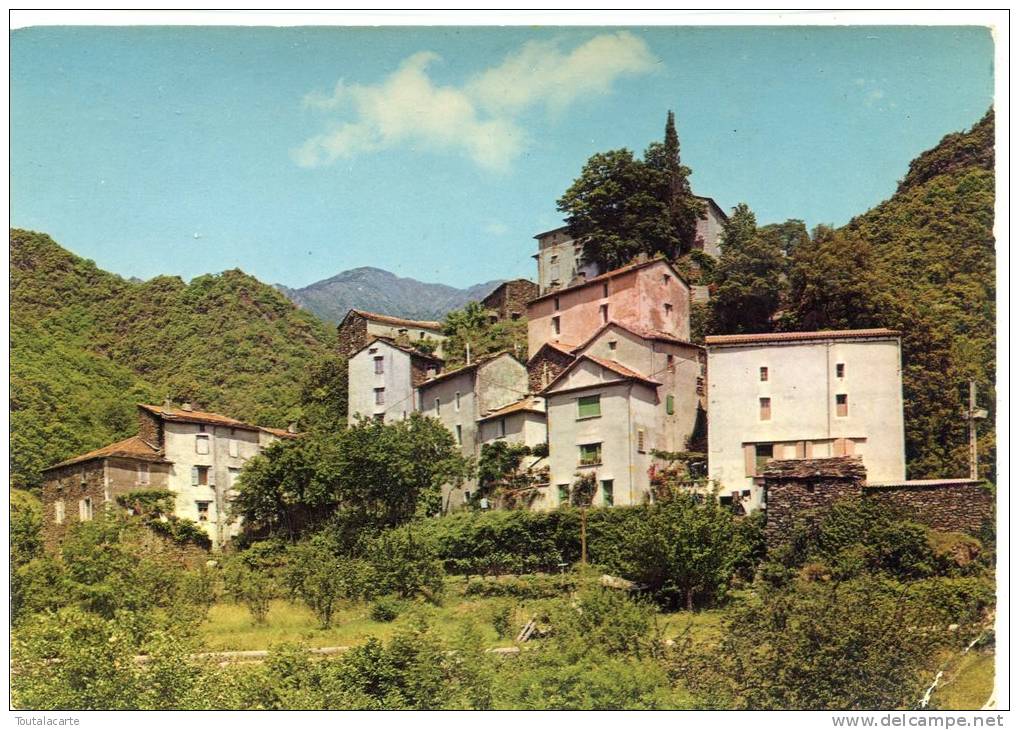 CPSM 30 LE VILLAGE DE SALLES PRES DE VALLERAUGUE 1976  Grand Format - Valleraugue