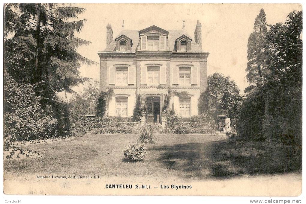 76 CANTELEU  LES GLYCINES - Canteleu