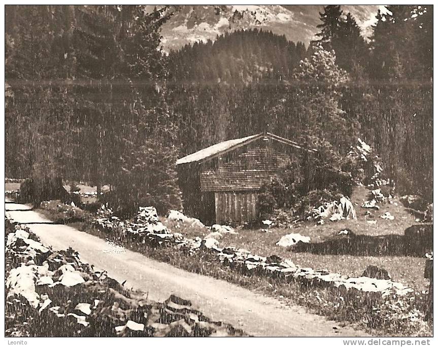 AELPLI Mit Säntis Bütschwil Libingen Krinau SG Obertoggenburg Ca. 1950 - Bütschwil-Ganterschwil