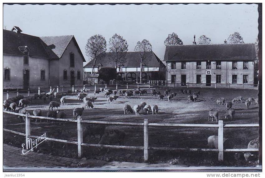 RAMBOUILLET BERGERIE NATIONALE - Rambouillet