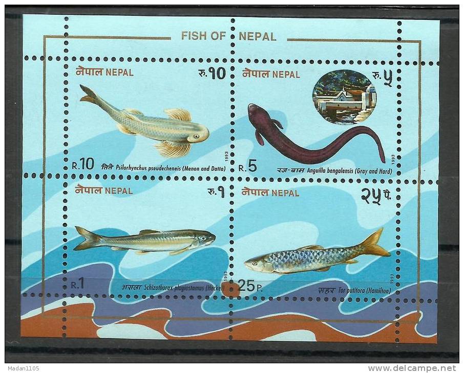 NEPAL,1993, Fishes, Miniature Sheet Plus Set Of 4 V, MNH, (**) - Nepal