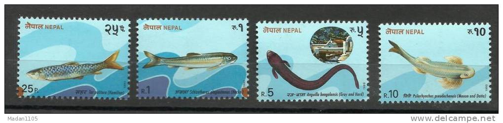 NEPAL,1993, Fishes, Miniature Sheet Plus Set Of 4 V, MNH, (**) - Nepal