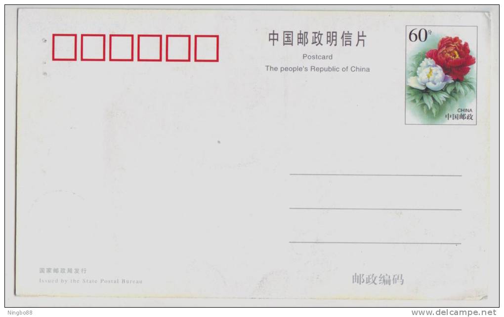 Leo Star,Sign Of Zodiac,12 Constellation,personal Character,China 1999 Hubei New Year Greeting Pre-stamped Card - Astrology