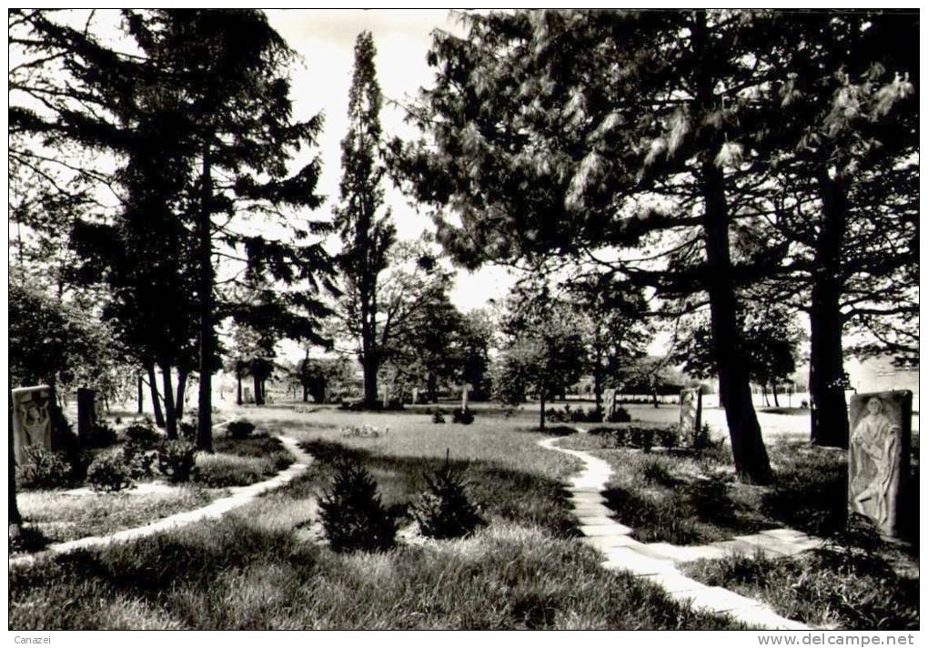 AK Viersen, Kreuzweg Im Park, St. Remigius-Haus, Kreuzweg Im Park, Gel 1981 - Viersen