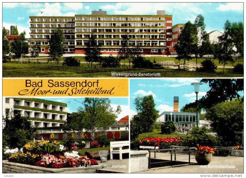 AK Bad Sassendorf, Wiesengrund-Sanatorium, Rosenau-Sanatorium, Kurmittelhaus,ung - Bad Sassendorf