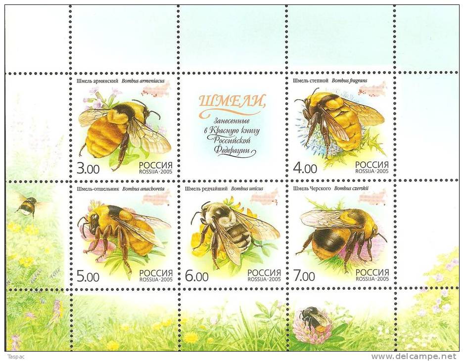 Russia 2005 Mi# Block 81 ** MNH - Souvenir Sheet - Bees - Abejas