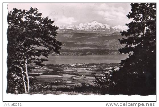 La Franche Comte Pittoresque Le Lac Leman Et La Mont-Blanc Vus Du Col De La Faucille 4.7.1955 - Autres & Non Classés