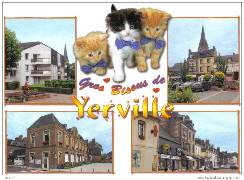 Carte Postale 76. Yerville  Petits Chats Trés Beau Plan - Yerville