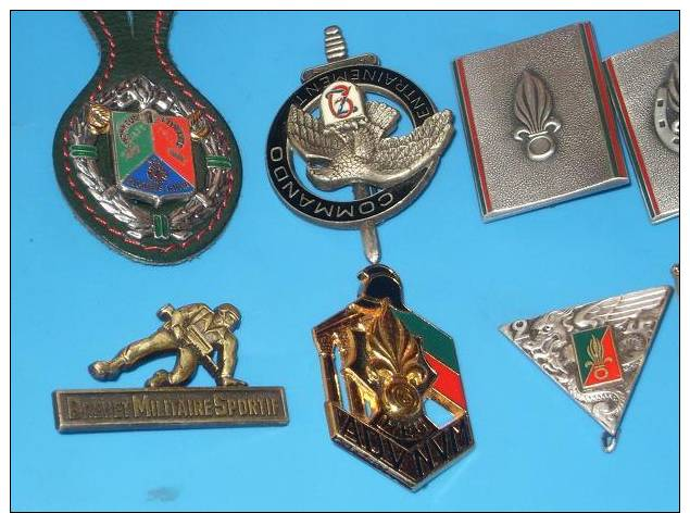 Lot De 14 INSIGNE MILITAIRE LEGION ETRANGERE - Army