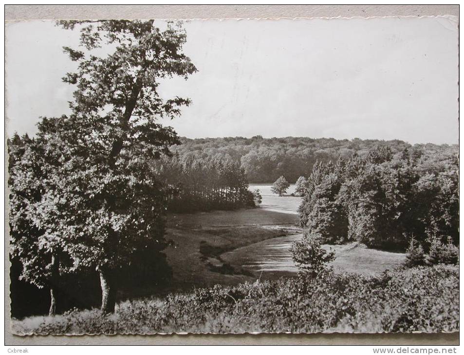 Büllingen Bullange, Hotel Dahmen, Alt. 630 M. - Bullange - Buellingen