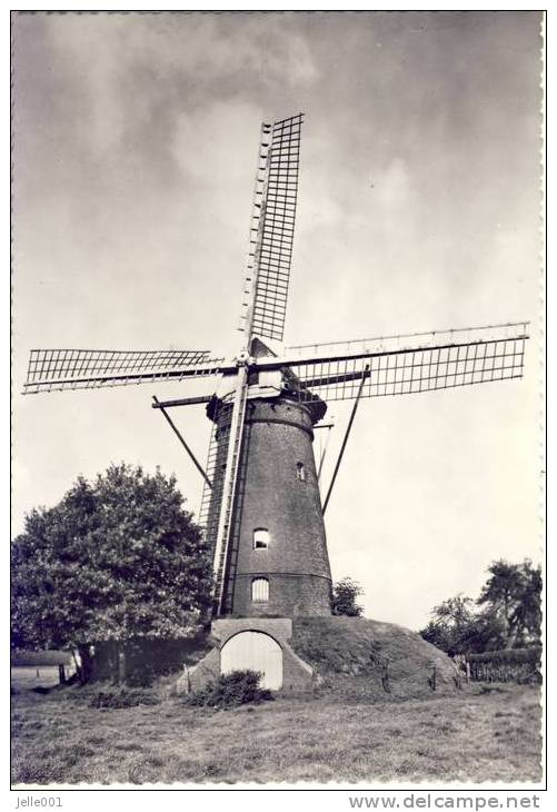 Pulderbos Molen - Zandhoven