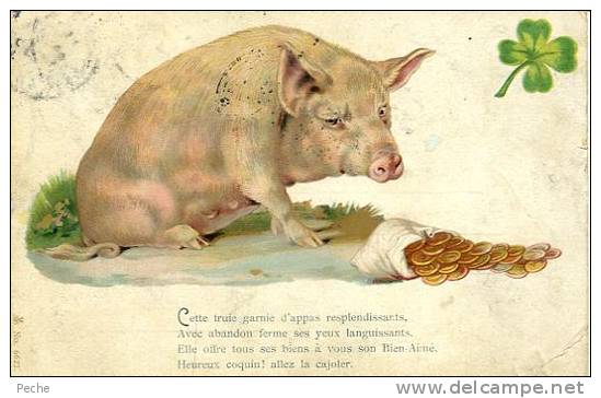 N°25555 -cpa Cochon - Varkens