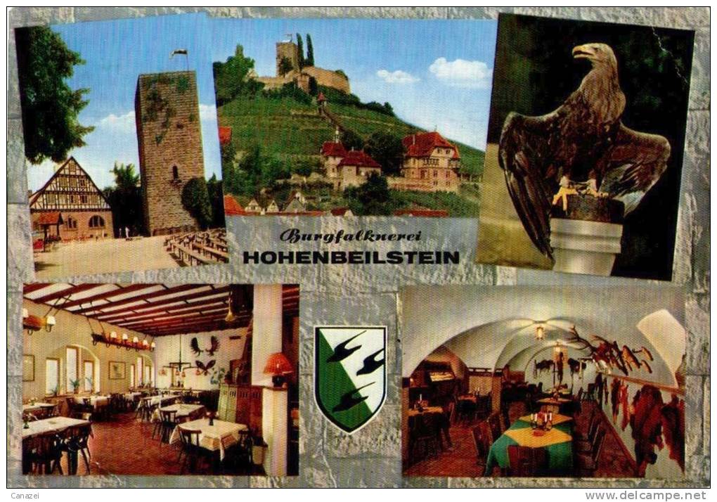 AK Burgfalknerei Hohenbeilstein (Kr. Heilbronn), Gel 1970 - Heilbronn