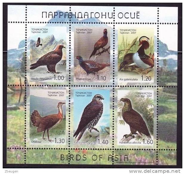 TAJIKISTAN 2007 BIRDS MS MNH /ZX/ - Tadschikistan