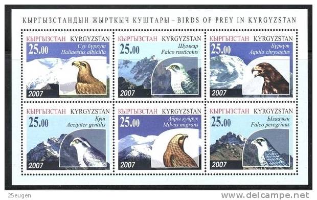 KYRGYZSTAN 2007 BIRDS OF PREY MS MNH  /ZX/ - Kirgisistan