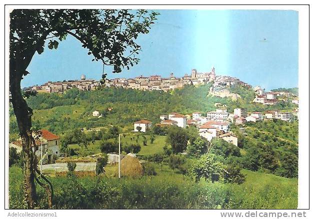 60573) 1980 - Fermo - Sant' Elpidio A Mare - Panorama - Fermo