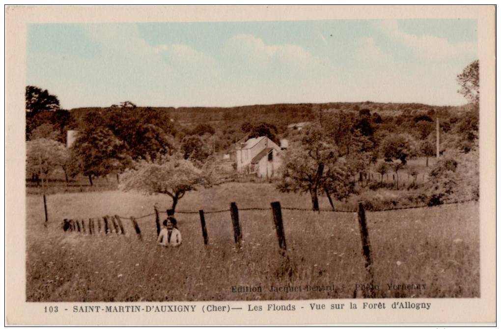 Saint Martin D Auxigny Les Flonds Vue Sur La Foret D Allogny - Autres & Non Classés