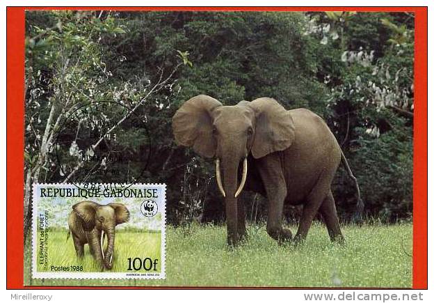 CARTE MAXIMUM GABON ELEPHANT DE FORET ANIMAUX EN VOIE DE DISPARITION - Elefanten
