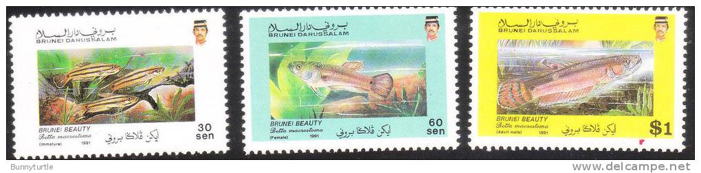 Brunei 1991 Beauty Fish MNH - Brunei (1984-...)