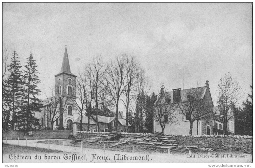 Château Du Baron Goffinet Freux (LIBRAMONT) - Libramont-Chevigny