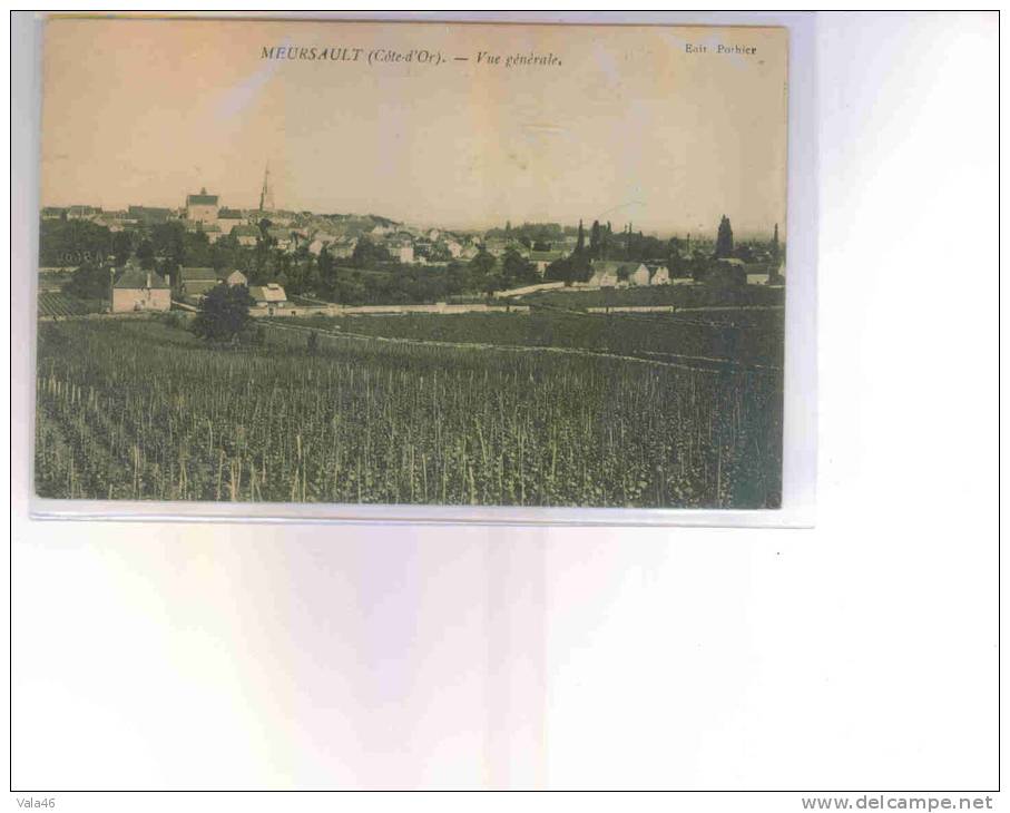 MEURSAULT     COTE D'OR     VUE GENERALE - Meursault