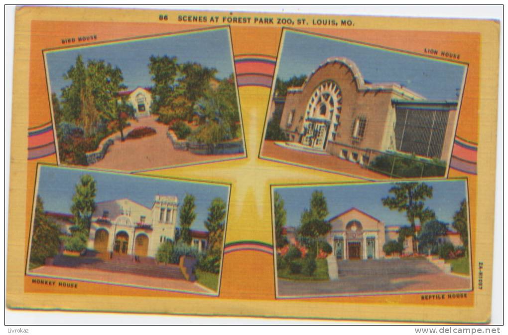 USA, Etats Unis, Missouri, Scenes At Forest Park Zoo, Saint Louis, A Circulé En 1947, Birds, Lion, Monkey, Reptile - St Louis – Missouri