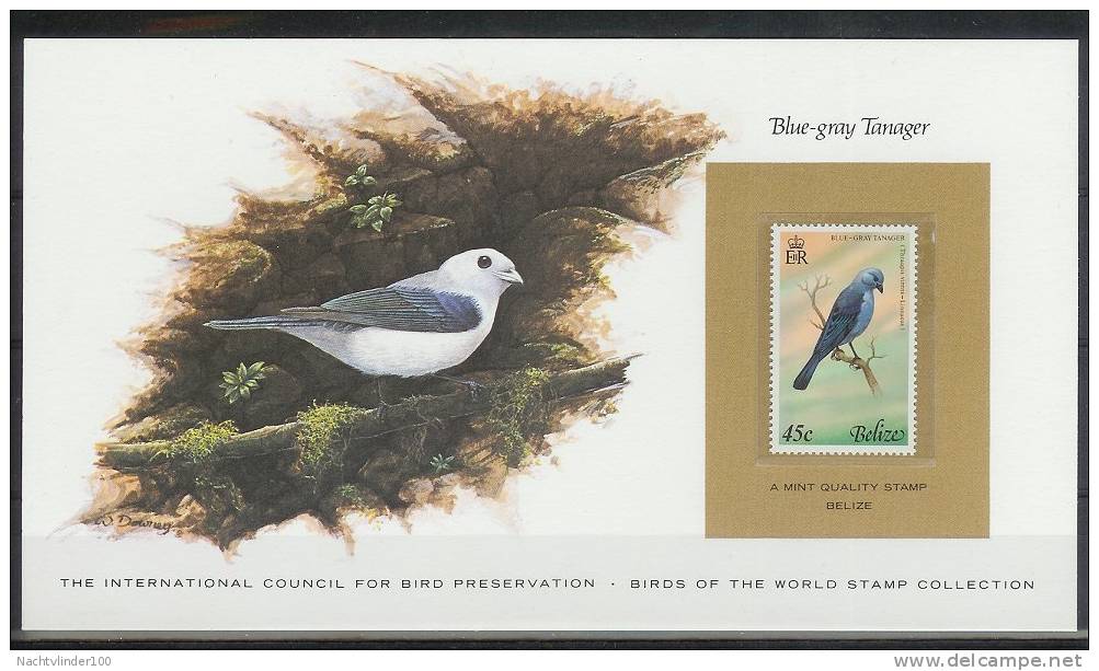 Mkt055kb FAUNA VOGELS BIRDS TANAGER BIRD PRESERVATION VÖGEL AVES OISEAUX BELIZE KAART CARD WITH STAMP 1979 PF/MNH - Other & Unclassified