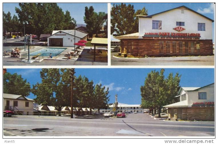 Reno NV Nevada, Pony Express Lodge Motel, Lodging, Auto, C1950s Vintage Postcard - Reno