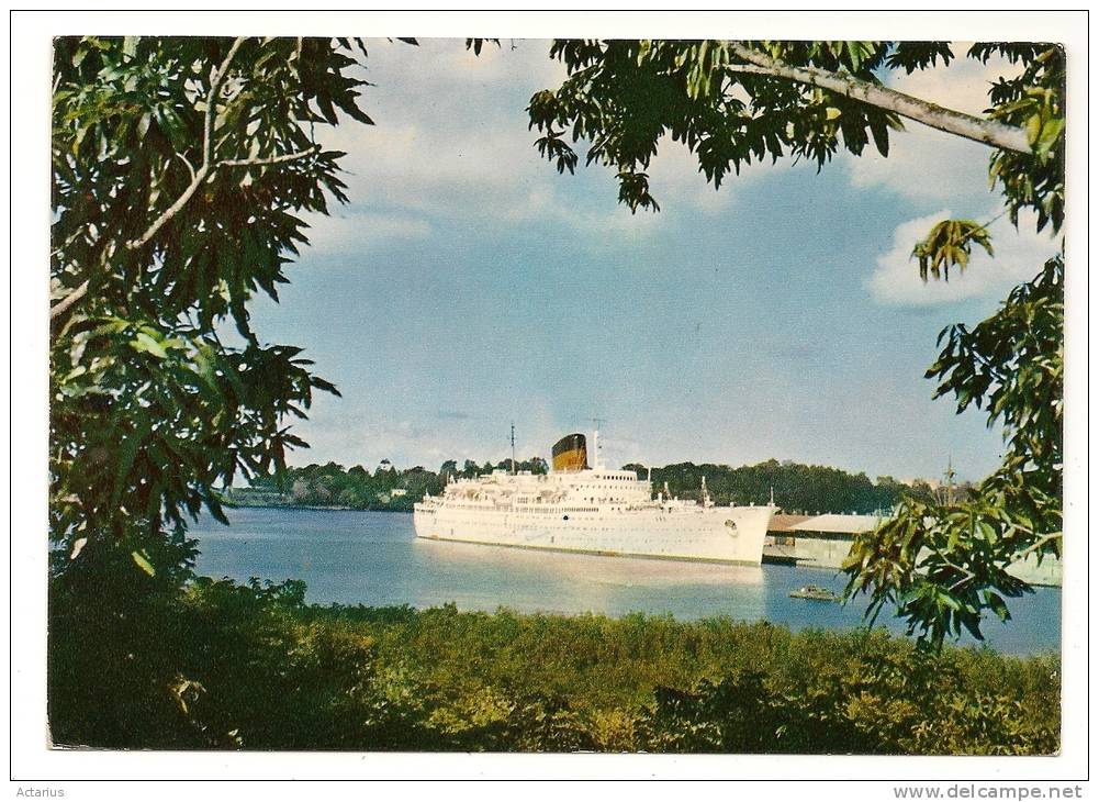 CPSM S/S " ANTILLES " Cie GIE TRANSATLANTIQUE NAVIRE BATEAU PAQUEBOT SHIP - Paquebote