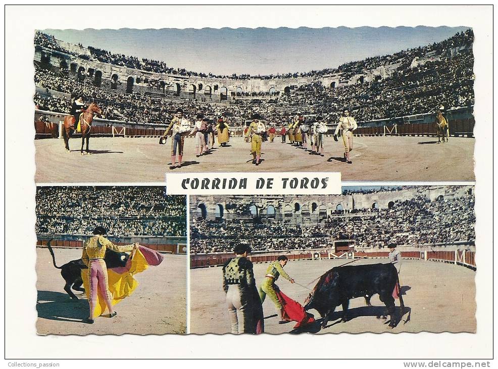 Cp, Corrida, Corrida De Toros, Multi-Vues - Corridas