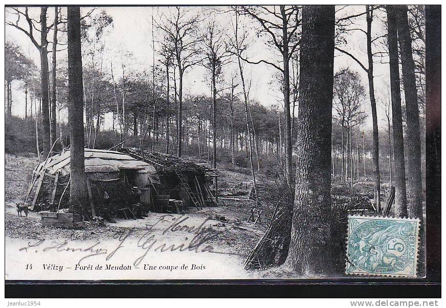 VELIZY FORET DE MEUDON COUPE DE BOIS - Velizy