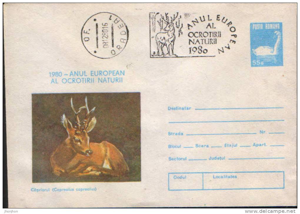 Romania-Postal Stationery Envelope 1980-Roebuck;cerf;Hirsch-Yea R Of Nature Protection - Game