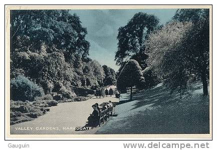 CPA - HARROGATE - VALLEY GARDENS - Edition E.T.W.Dennis &amp; Sons Ltd - Harrogate