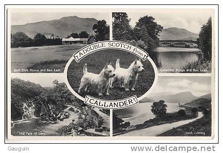 CPA - CALLANDER - A DOUBLE SCOTCH FROM ... Multivues - Edition JB.White Ltd - Stirlingshire