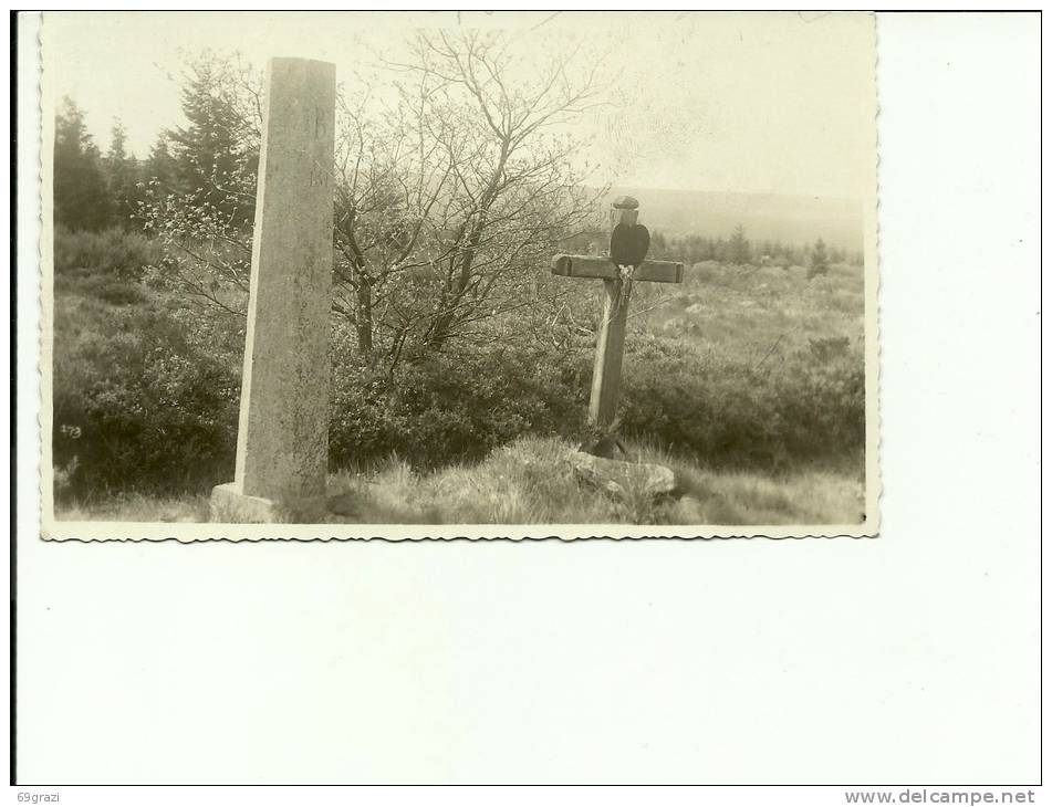 Hautes Fagnes Baraque Michel Croix Des Fiancés - Waimes - Weismes