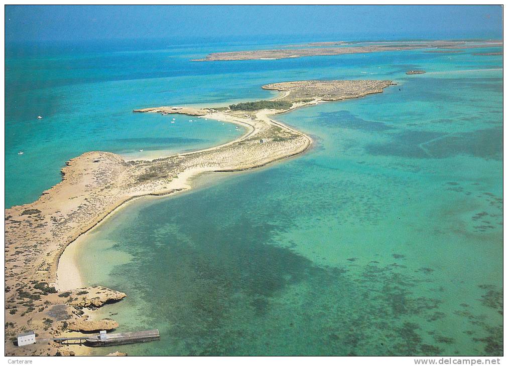 AFRIQUE,AFRICA,AFRIKA,ex Colonie,DJIBOUTI ,JABUUTI,ILE MASKALI,photo KIS,vue Aerienne - Dschibuti