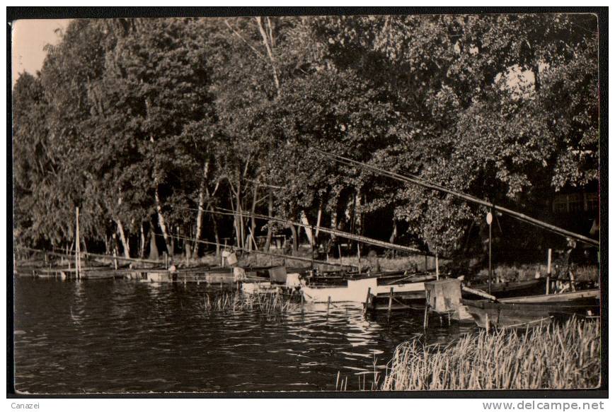 AK Hölzerner See, Gel, 1960 (Königs Wusterhausen, Neubrück, Katzenberge) - Königs-Wusterhausen