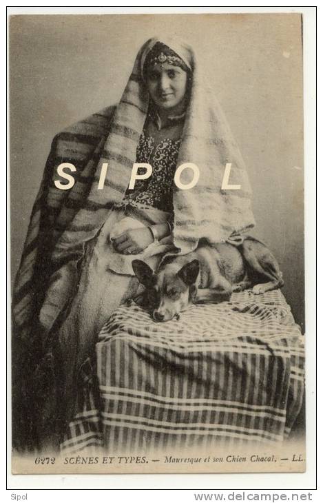 Scènes & Types -6272 - Mauresque  Et Son Chien Chacal - LL Voyagé En 1915  Sous Enveloppe BE 2 Scans - Non Classificati