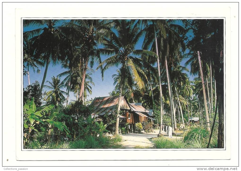 Cp, Malaisie, Houses Of The Malaysian Countryside, Voyagée 1993 - Malesia