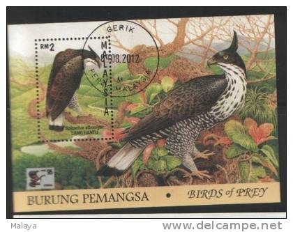 MALAYSIA 1996 MS Birds Of Prey Used - Malasia (1964-...)