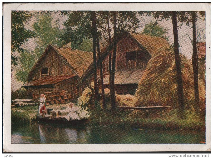 AK Spreewald, Altes Bauernhaus In Leipe, Gel 1955 - Lübben (Spreewald)