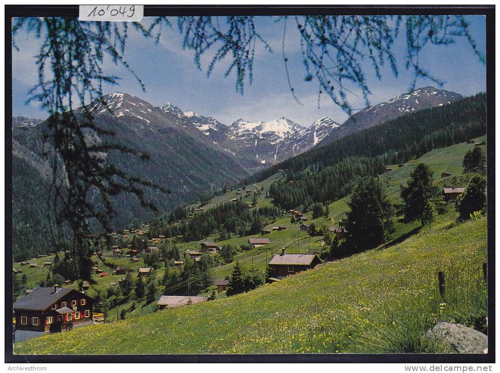 Mayens De Riddes (1500 M) La Tzoumaz Et Le Mont Gelé (3024 M) ; Form. 10 / 15 (10´049) - Riddes