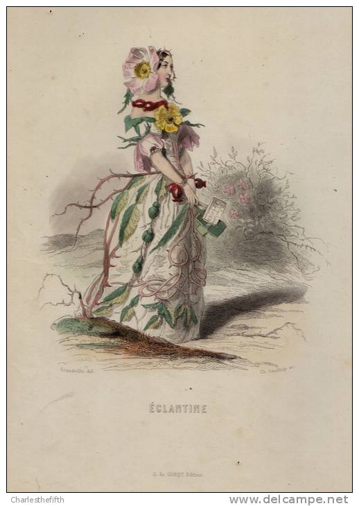 SUPERBE GRAND ( 25 X 17cm ) LITHO COLORE MAIN - EGLANTINE - Ch. Geoffroy (1819-1882) - édit De Conet - Lithographies