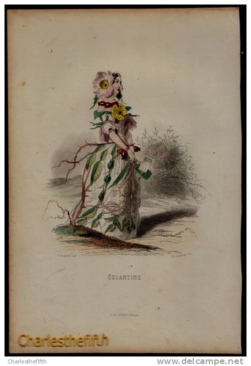 SUPERBE GRAND ( 25 X 17cm ) LITHO COLORE MAIN - EGLANTINE - Ch. Geoffroy (1819-1882) - édit De Conet - Lithographies