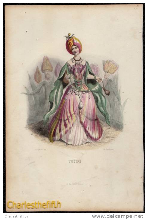 SUPERBE GRAND ( 25 X 17cm ) LITHO COLORE MAIN - TULIPE - Ch. Geoffroy (1819-1882) - édit De Conet - Lithographies