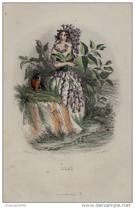 SUPERBE GRAND ( 25 X 17cm ) LITHO COLORE MAIN - LILAS - Ch. Geoffroy (1819-1882) - édit De Conet - Litografía
