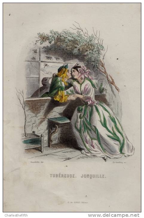 SUPERBE GRAND ( 25 X 17cm ) LITHO COLORE MAIN - TUBEREUSE JONQUILLE - Ch. Geoffroy (1819-1882) - édit De Conet - Lithografieën